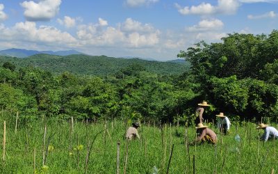 Advancing Sustainability: GreenEarth Featured in Tatler Philippines